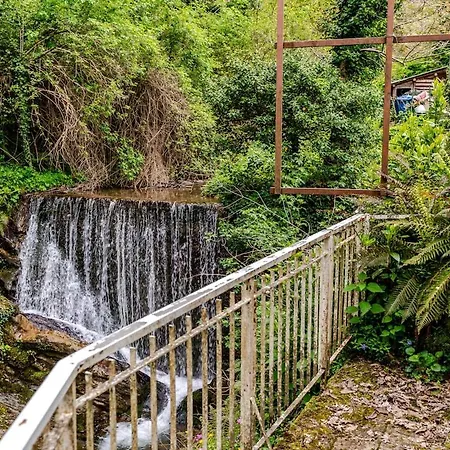 Casa Laura Nature And Art In The Heart Of Tuscany アパート ルーフィナ